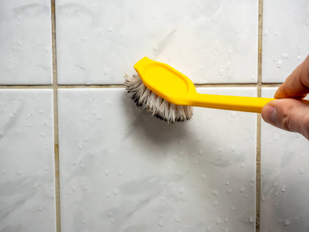 Best Professional Mold Removal  in Salina, UT
