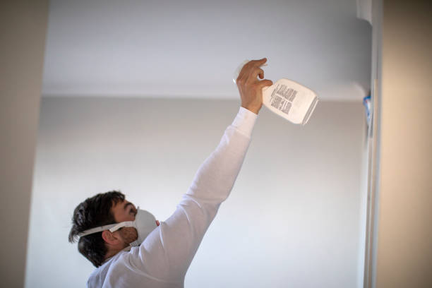 Best Home Mold Removal  in Salina, UT