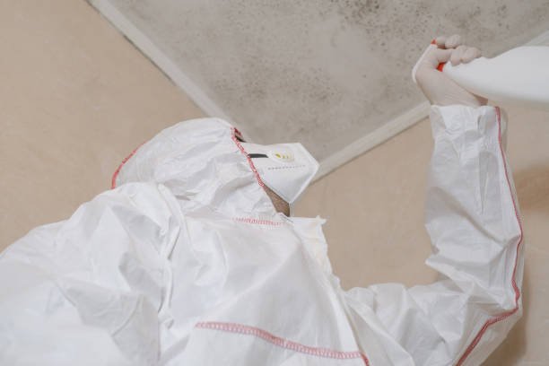 Best Mold Removal and Inspection  in Salina, UT